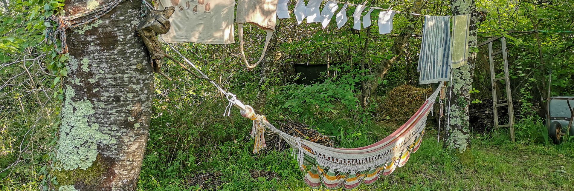 2024_IMG_20240524_182016_hammock (Large).jpg